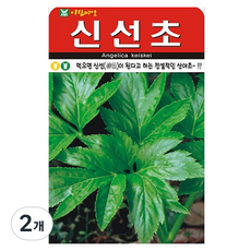 아람종묘신선초 씨앗, 2개