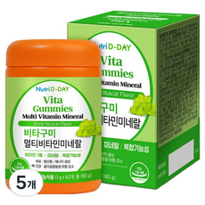 뉴트리디데이 비타구미 멀티비타민 미네랄, 60정, 5개