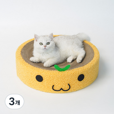 coco 고양이 스크래쳐, 옐로우, 3개