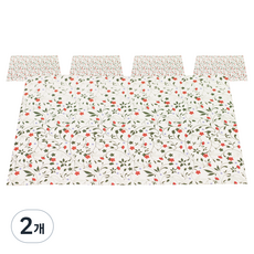 Iciel design 可撕式 wapping sticker 芙蘿拉1, 5入, 2個