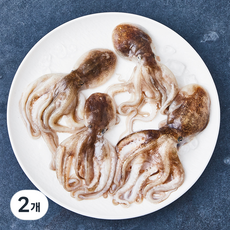 바다림 태안 봄제철 생물 쭈꾸미 (냉장), 500g(4~8미), 2개