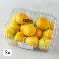 블랙홀 당도선별 황금향 꼬마과, 3개, 2kg