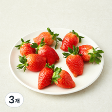 논산 킹스베리 딸기 대과, 3개, 450g