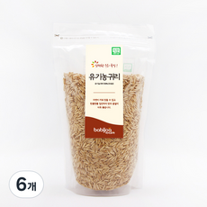 바비조아 유기농귀리, 500g, 6개
