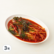 바른테이블 전라도 여수 파김치, 1kg, 3개