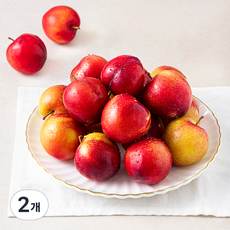 수플린 국내산 자두, 1.5kg, 2개