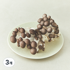 블랙 머쉬 버섯, 3개, 160g
