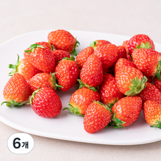 새벽경매 한입 설향딸기, 450g, 6개