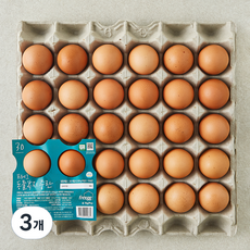 프레그 동물복지 인증 계림농장 중란 1320g, 3개, 30구