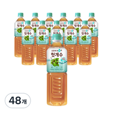 헛개수 갈증에 한 수 위 헛개수, 1L, 48개