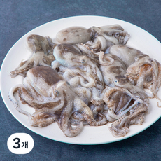 어부심 서해안 산지직송 자연산 햇 알배기 주꾸미 (냉장), 500g, 3개