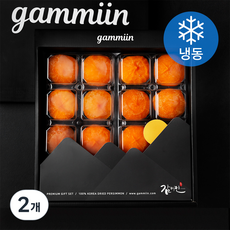 감미인 GAP 인증 청도 반건시 (냉동), 1kg(16입), 2개