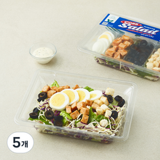 피그인더가든 미국식 콥 샐러드, 178g, 5개