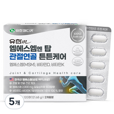 유한메디카 엠에스엠 엔 탑 관절연골 튼튼케어 121.68g, 120정, 5개