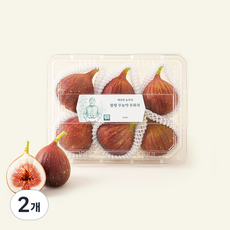 무농약 인증 채상희 농부의 함평 무화과, 500g, 2개