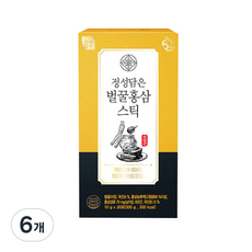 한국삼 정성담은 벌꿀홍삼스틱 30p, 6개, 300g