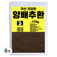 비니플랑센 국산 건강한 양배추환, 170g, 6개