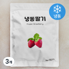 이안상사 국내산 딸기 (냉동), 3개, 1kg