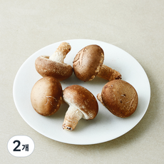 친환경 송화버섯, 2개, 150g