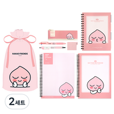 카카오프렌즈 모던st 미니플랫 열공 문구세트, 2세트, 어피치