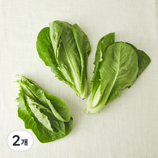 유기농 인증 포기 생채, 2개, 300g