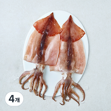 국내산 손질 오징어 2~3미 (냉장), 4개, 380g