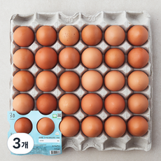 프레그 무항생제 인증 계림농장 신선한 특란 1800g, 30구, 3개