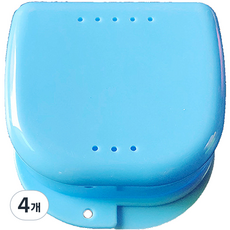 다르니나 프리미엄 틀니 보관함 블루, 4개