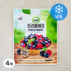 뉴뜨레 트리플베리 (냉동), 4개, 700g