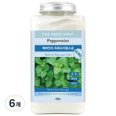 더허브샵 대용량 족욕 앤 미용소금, 페퍼민트, 6개
