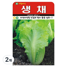 아람종묘 생채 상추 씨앗, 2개