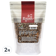 토종마을 볶은검정보리, 500g, 2개