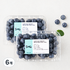 좋은하루 생생 블루베리 특대, 200g, 6개