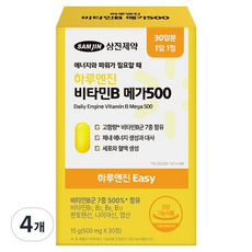 하루엔진 이지 비타민B 메가 500 15g, 4개, 30정