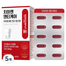 서울대위바이옴 치아엔 덴티케어 치아와 뼈 건강 항산화, 5개, 60정