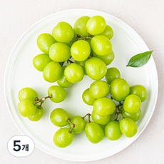 수플린 간편한 알알이 송송 샤인머스캣, 500g, 5개