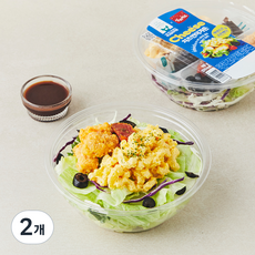 피그인더가든 상하치즈 치즈인더가든 맥앤치즈 & 치킨텐더샐러드, 192g, 2개