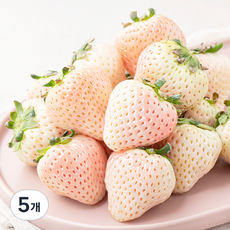 ONLYFARM 담양 화이트 딸기, 500g, 5개