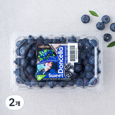칠레산 블루베리, 310g, 2개