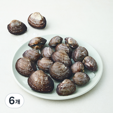 어부심 찬바람 불 때 더 맛있는 벌교 피꼬막 (냉장), 6개, 1kg