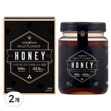 고은담 프리미엄 자연 야생화 순수 벌꿀, 2개, 500g