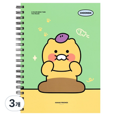 춘식이 인덱스 스프링 유선노트 L, 3개