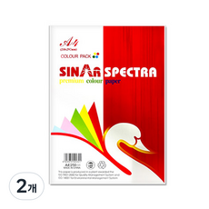 블루마토 A4 색상지 5-B COVER PAPER 250p, 10색, 2개