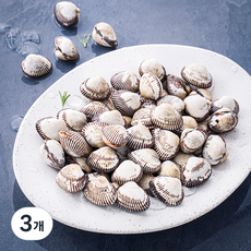 어부심 산지직송 갓 수확한 벌교 생물 새꼬막, 1kg(특대, 65~75알), 3개