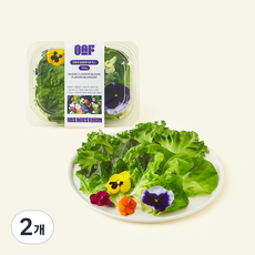 원에이커팜 무농약 인증 블룸 팬지꽃 믹스, 100g, 2개, 1개입