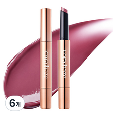 코랄헤이즈 볼류마이징 립 퐁듀, 6개, 05 디스팅트