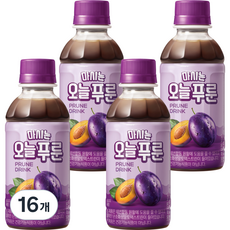 팔도 마시는 오늘푸룬, 190ml, 16개