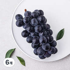 가원 100% 비파괴 당도선별 거봉, 400g, 6개