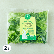 그린래빗 유러피안 소프트믹스 샐러드, 80g, 2개