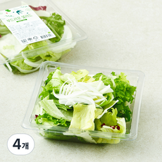 저스트그린 부드러운 샐러드, 65g, 4개